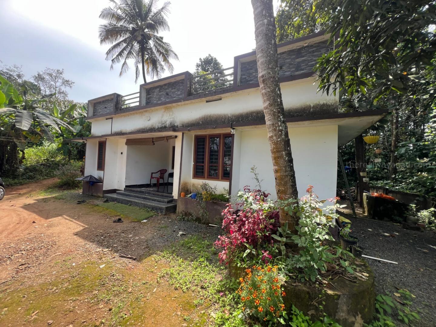 6.5 CENT LAND WITH HOUSE