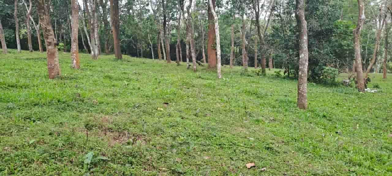 8.5 ACRE COMMERCIAL LAND
